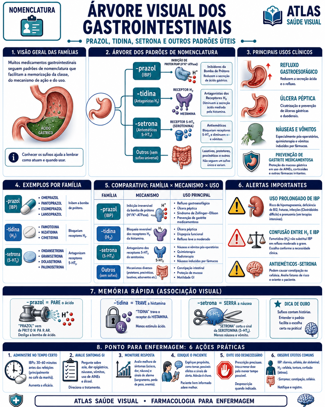 Mapa de nomenclatura - Árvore Visual dos Gastrointestinais